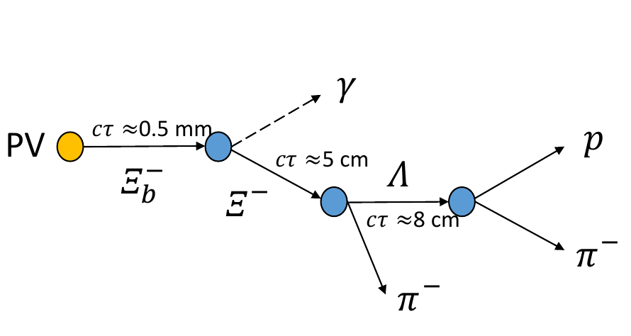 Xi_b to Xi gamma decay topology